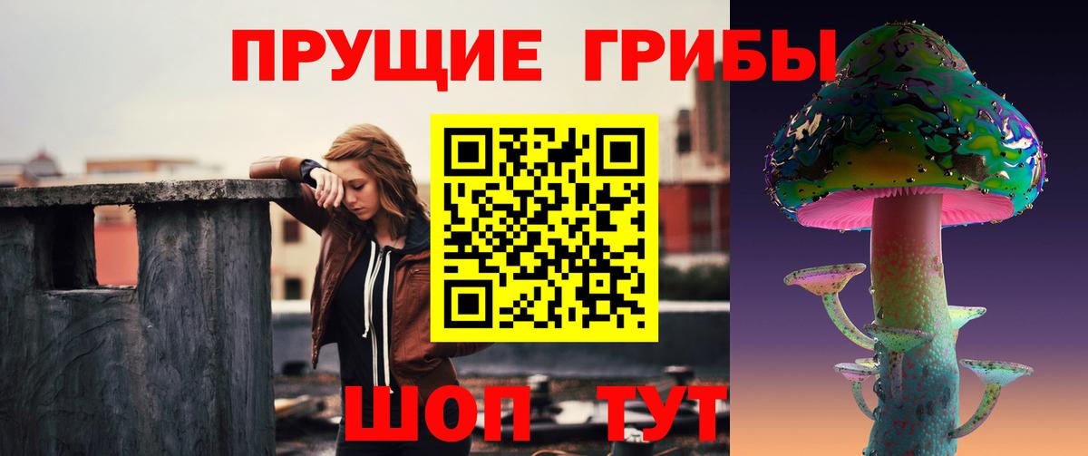Кулебаки  Псилоцибиновые грибы MAGIC MUSHROOMS  Вход с VPN 